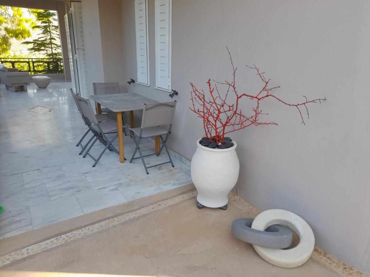 Suite With Garden Agia Marina  Buitenkant foto